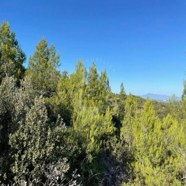Offres de vente Terrain aramon 30390